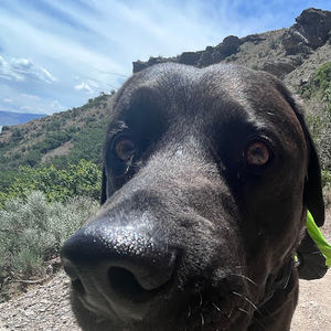 Meet your Posher, Claire